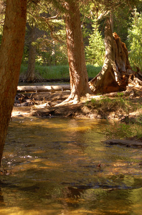 Rocky Mountain National Park