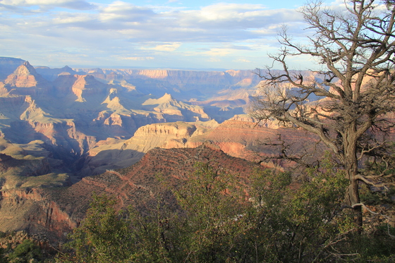 Grand Canyon - south rim