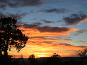 Grand Canyon - south rim