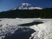 Mt. Rainier National Park