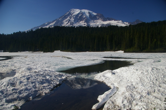 Mt. Rainier National Park