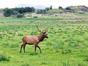Rocky Mountain National Park