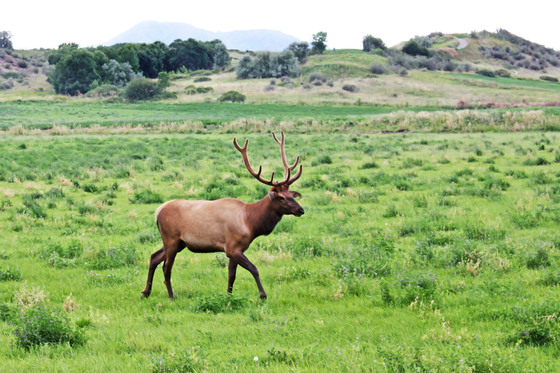Rocky Mountain National Park