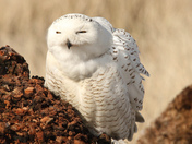 Oyhut Wildlife Recreation Area