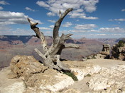Grand Canyon National Park