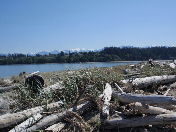 Olympic National Park