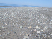 Olympic National Park