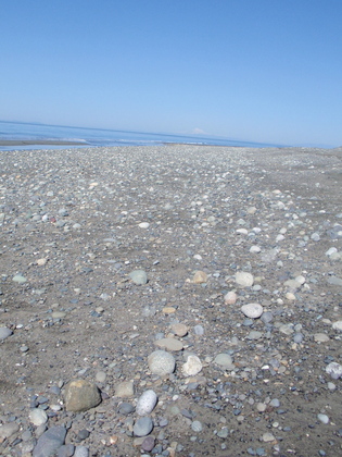 Olympic National Park
