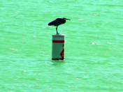Lake Mead National Recreation Area