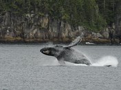 Kenai Fjords National Park