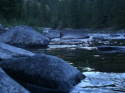 Nez Perce National Forest