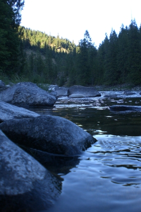 Nez Perce National Forest