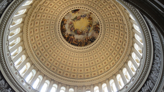 The National Mall / The Capitol Building