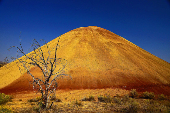 John Day Fossil Beds National Monument