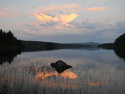 Morehead Lake Resort