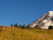 Mount Rainier National Park