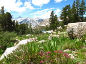 Kings Canyon National Park
