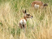 Rocky Mountain National Park