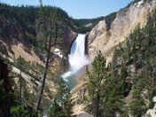 Yellowstone national park