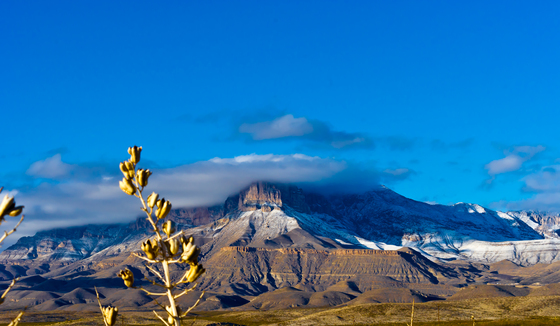 Guadalupe Mountians National Park Texas