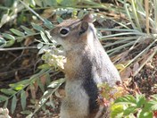 Rocky Mountain National Park