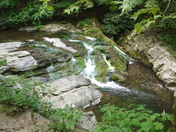 Smoky Mountain National Forest