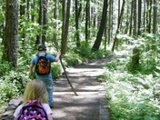 Susan Creek Falls Hiking Trail Rec Area