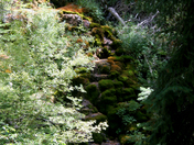 White River National Forest