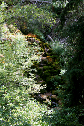 White River National Forest
