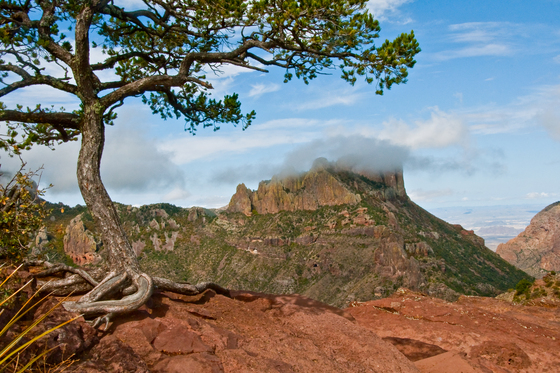 Big Bend National Park