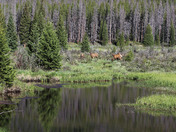 Grand Tetons National Park