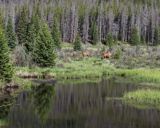 Grand Tetons National Park