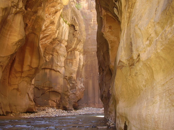 Zion National Park