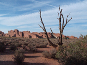 Arches National Park