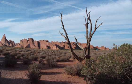 Arches National Park