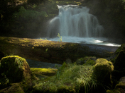 Umpqua National Forest