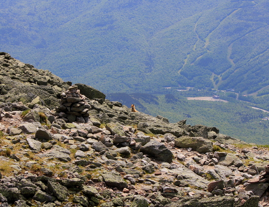 White Mountain National Forest