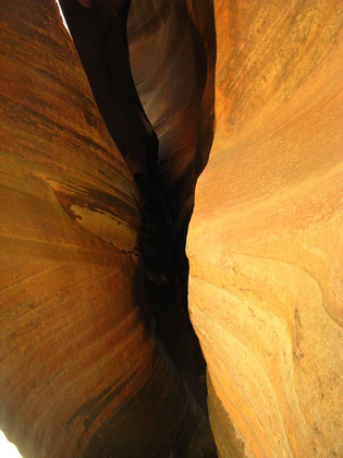 Zion National Park
