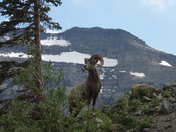Glacier National Park