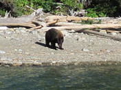 Glacier National Park