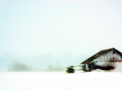 Winter Harvest Sleep