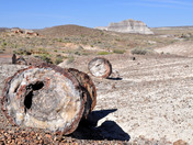  Petrified Forest National Park 