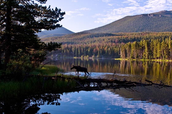 Rocky Mountain National Park