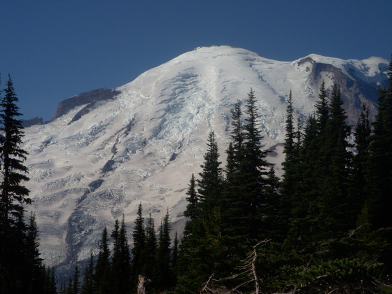 Mt. Rainier Nat Park