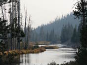 Yellowstone National Park