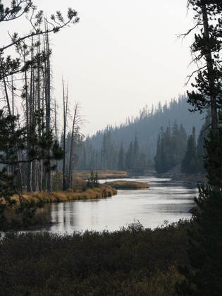 Yellowstone National Park