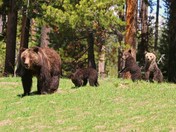 Grand Teton National Park