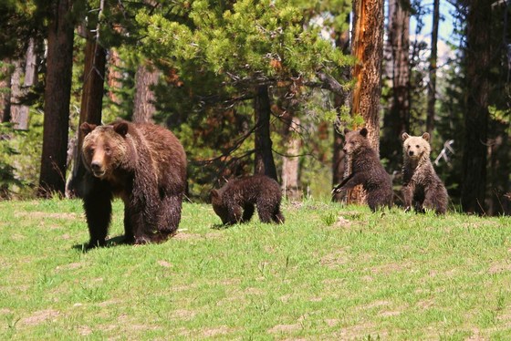 Grand Teton National Park