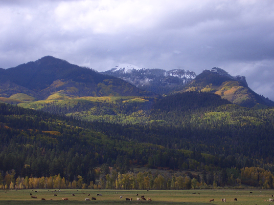 San Juan National Forest 
