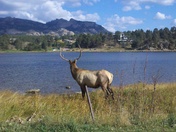 Rocky Mountain National Park